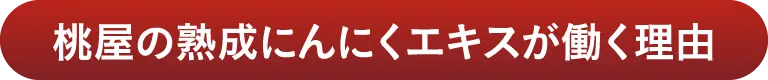 桃屋の熟成にんにくエキスが働く理由