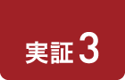 実証3