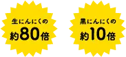 生にんにくの約80倍　黒にんにくの約10倍